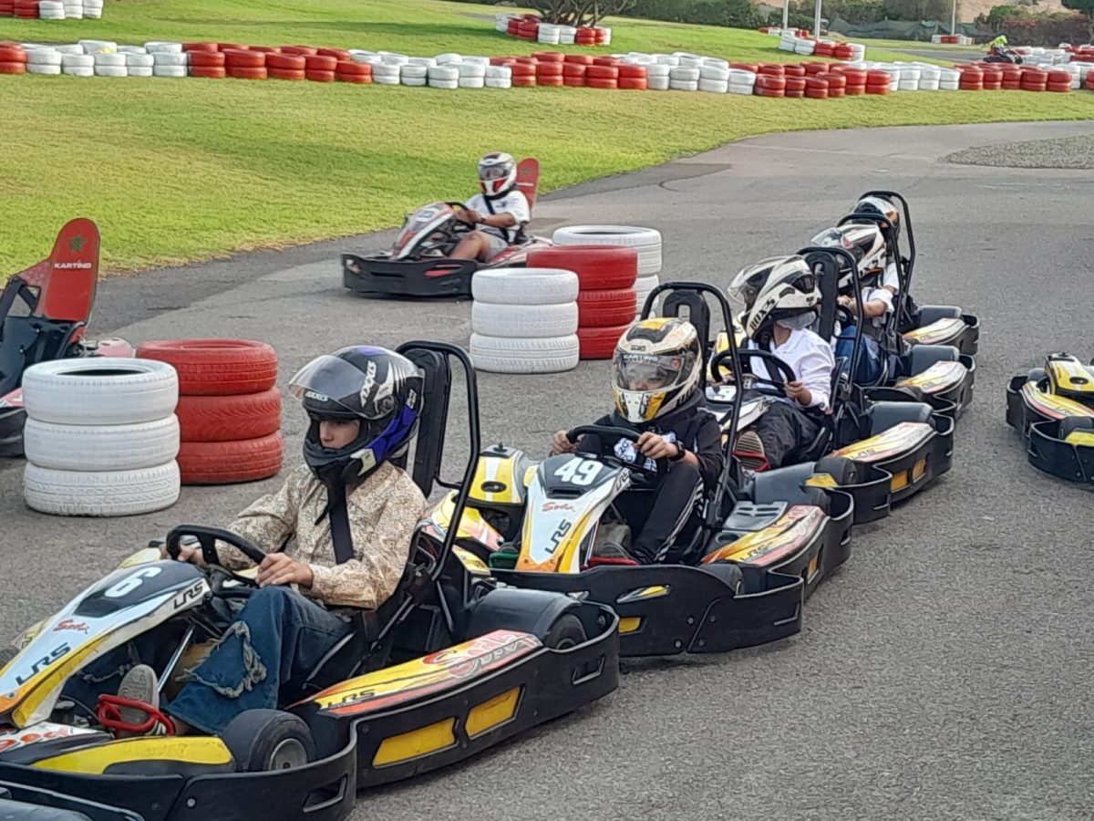 d08627cd-4bfe-4e49-8e13-cfaebdd54023